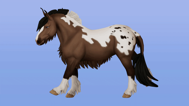 Equine 3D Model example