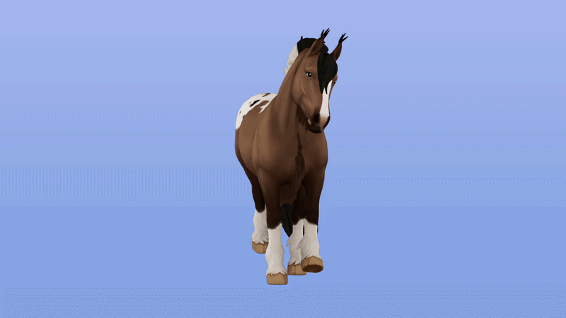 Equine 3D Model example